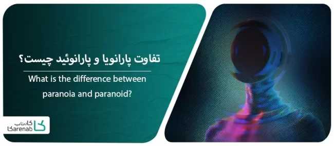 What-is-the-difference-between-paranoia-and-paranoid
